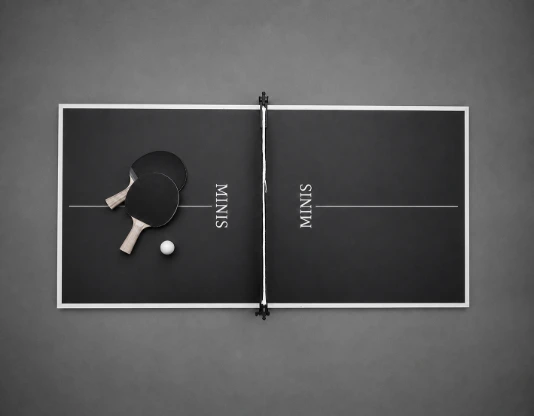 minis Tischtennisplatte-Set